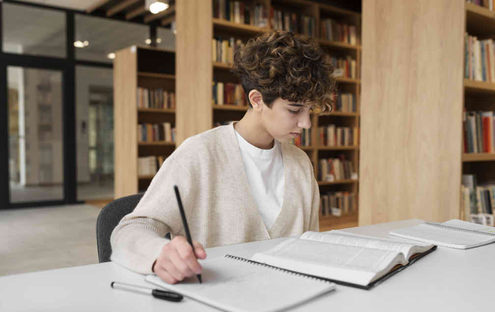 Essay writing with Alla